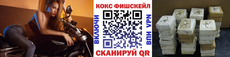 Купить  Боготол  Cocaine Fish Scale 
