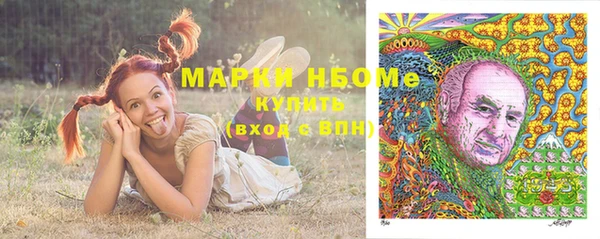крисы Кодинск