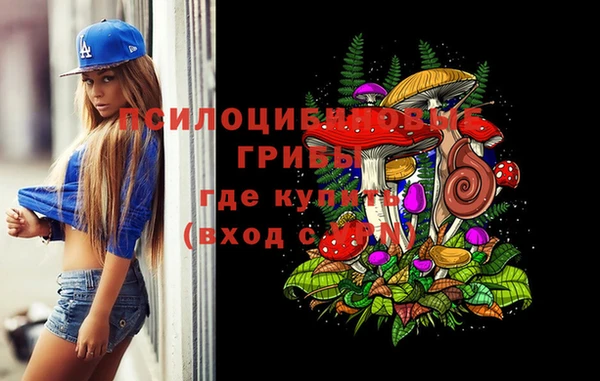 крисы Тайга