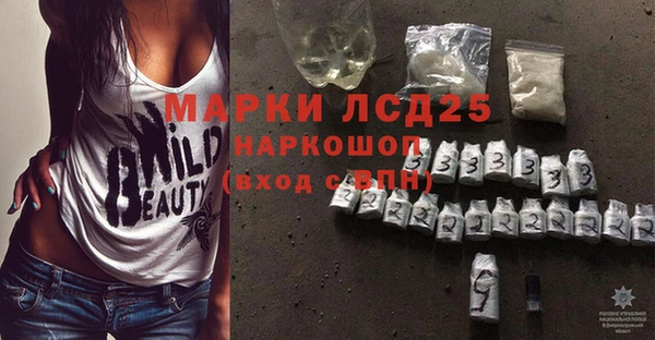 крисы Кодинск