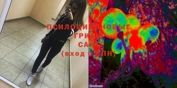 прущий лед Козельск