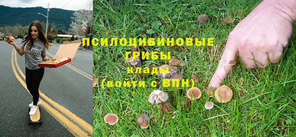 прущий лед Козельск