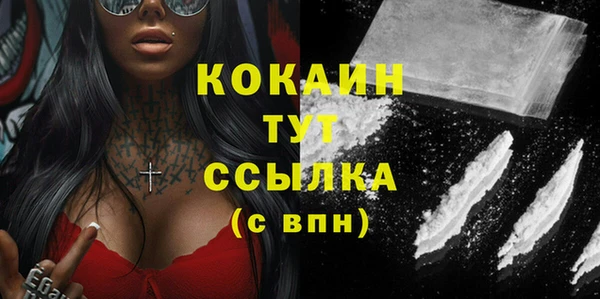 крисы Кодинск