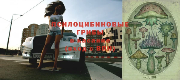 крисы Кодинск
