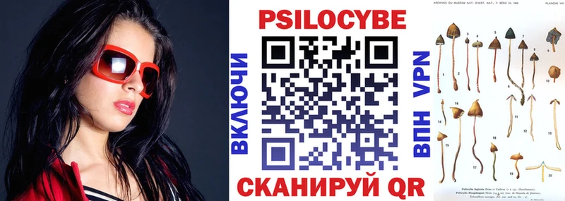 Купить закладки  Боготол  Галлюциногенные грибы GOLDEN TEACHER 