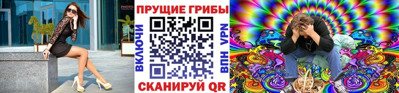 Галлюциногенные грибы мицелий Боготол